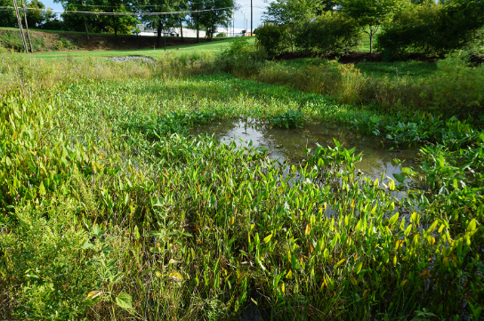 How Modern Technology Helps Solve Serious Stormwater and Sewer Problems